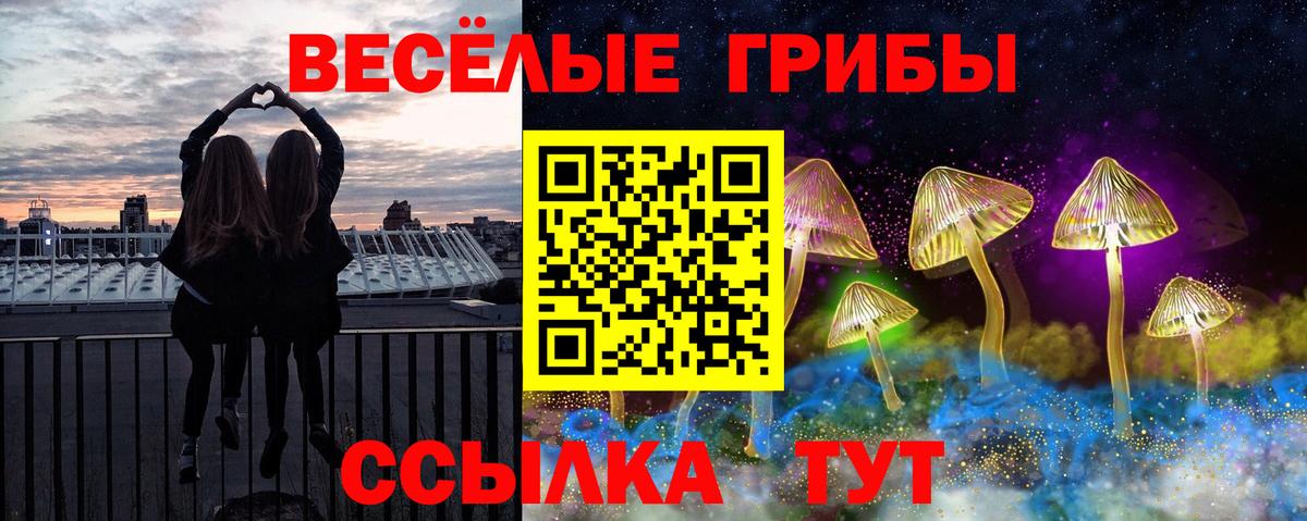 Рузаевка  наркотики  Вход с VPN  Псилоцибиновые грибы мухоморы 