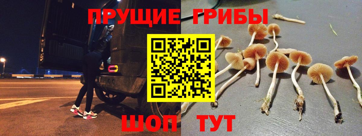 Галлюциногенные грибы GOLDEN TEACHER Рузаевка